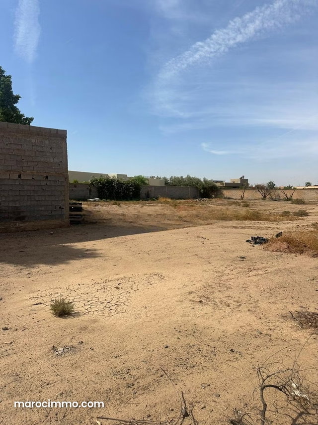 Vente terrain 3200 m2 rte de Ouarzazate MARRAKECH — 4