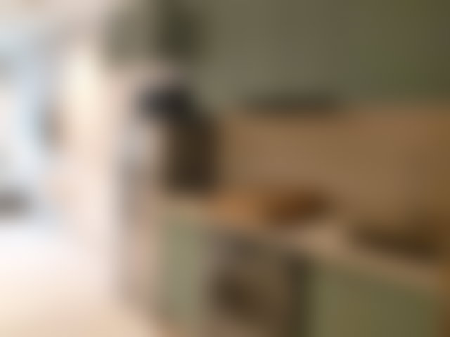 Appartement meublé à louer au Centre Ville de Casablanca — 3