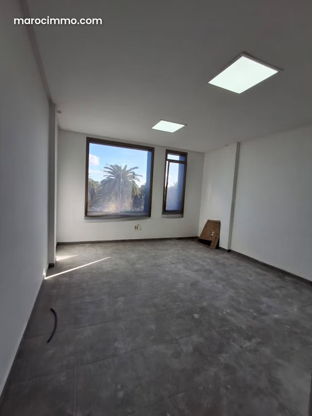 Petit plateau bureau neuf a quartier du parc — 2