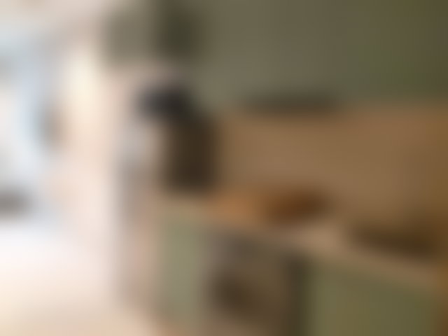 Appartement meublé avec terrasse à Anfa Casablanca — 4