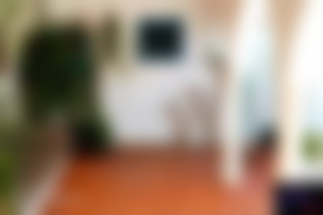 Riad 4 chambres rénové, Medina d'Essaouira à vendre — 5