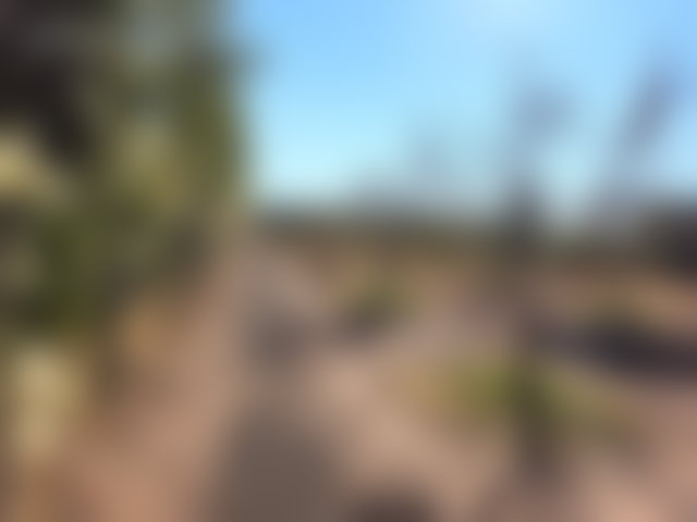Villa 1000 m² sur 1 hectare, Route de Fès, Marrakech — 2