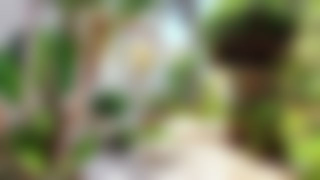 فيلا راقية بحديقة خاصة في حي أواسي الدار البيضاء — الدار البيضاء