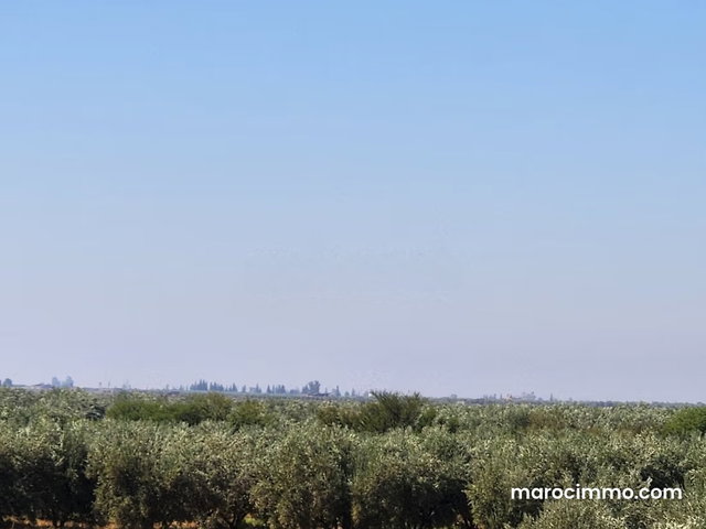 Terrain exceptionnel de 105 606 m² à vendre à chrifia – Zone GH2 & SD2 – Marrakech — 2