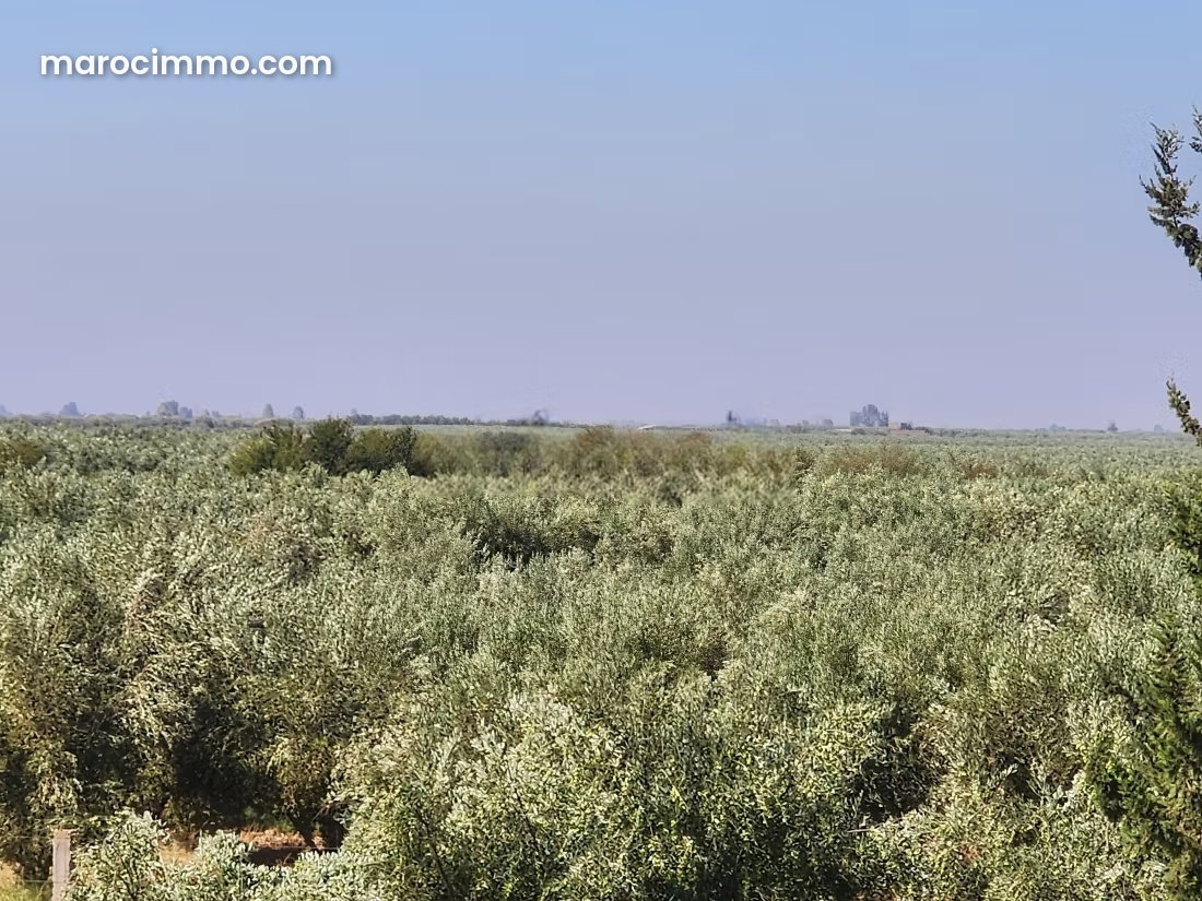 10.5-hectare plot in the Atlas area of Ifrane, suitable for a residential or tourism project — Ifrane