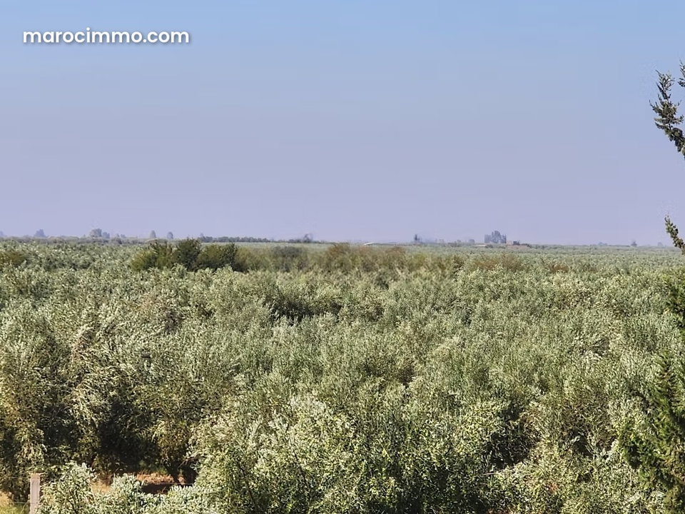 Terrain exceptionnel de 105 606 m² à vendre à chrifia – Zone GH2 & SD2 – Marrakech