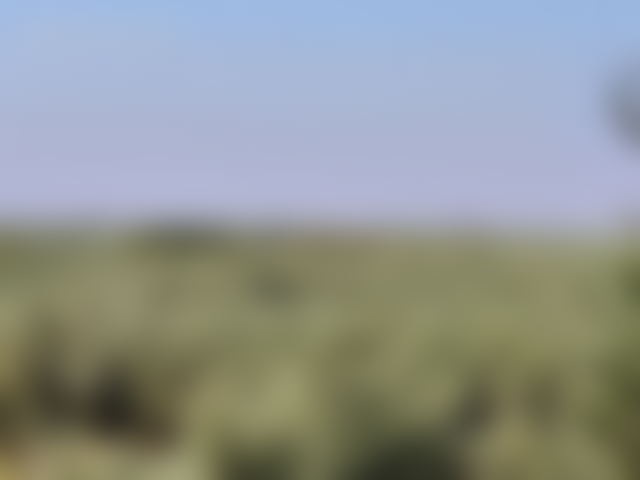 10.5-hectare plot in the Atlas area of Ifrane, suitable for a residential or tourism project — Ifrane