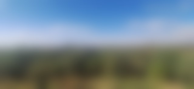 Terrain 10 000 m² à vendre, Ait Ourir — 3