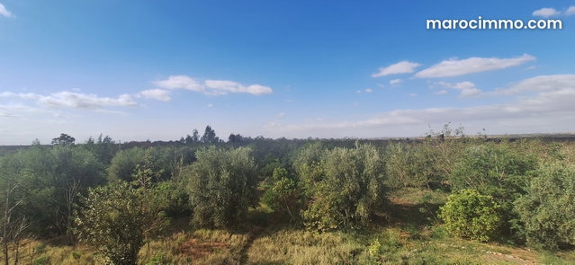 Land for Sale in Ait Ourir. 10000 m² Surface Area — 3