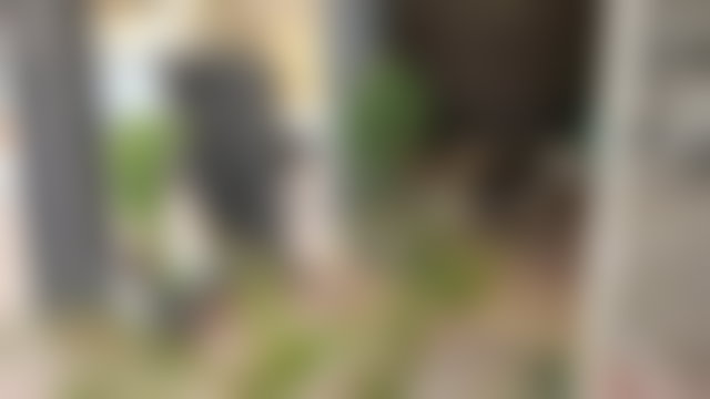 محل تجاري جاهز للبيع بحي السلام في الداخلة — 5