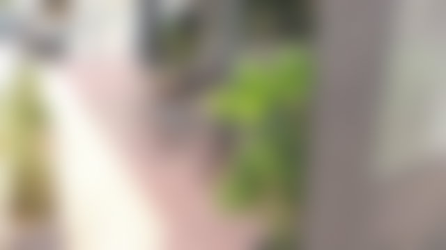 محل تجاري جاهز للبيع بحي السلام في الداخلة — 3