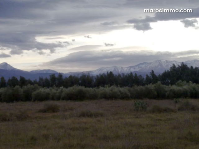 Opportunité Rare: Domaine Agricole et touristique 32 Ha à 15 min de Marrakech — Marrakech