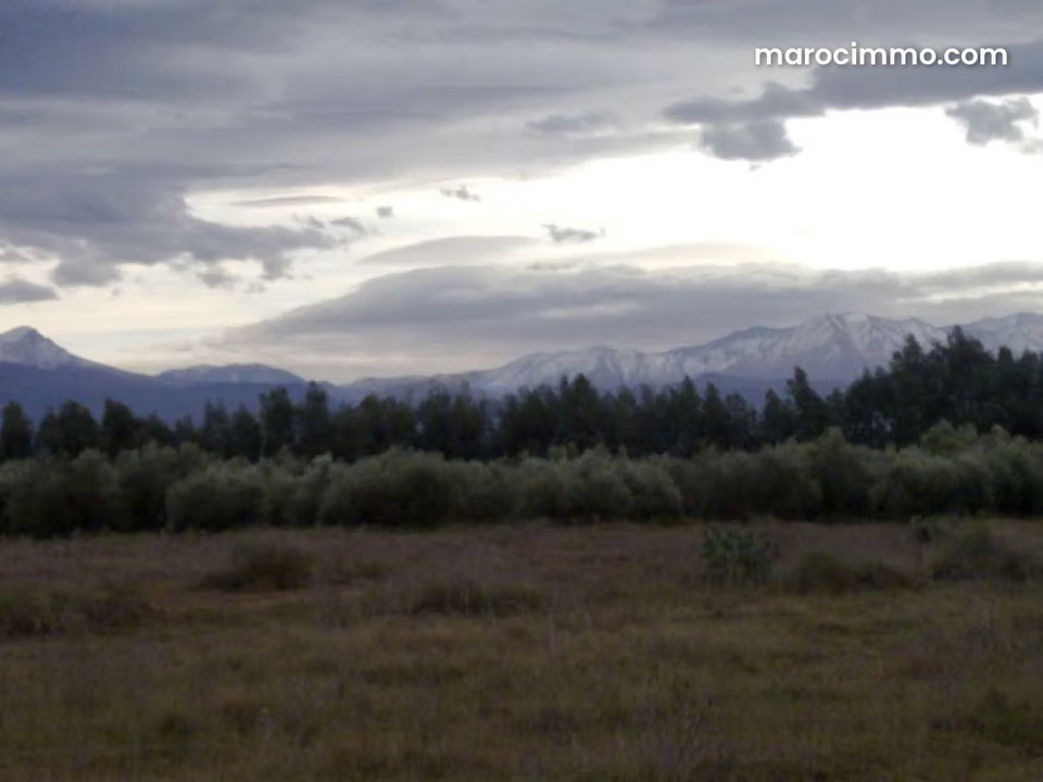 Rare Opportunity: 32 Ha Agricultural and Tourist Farm near Marrakech