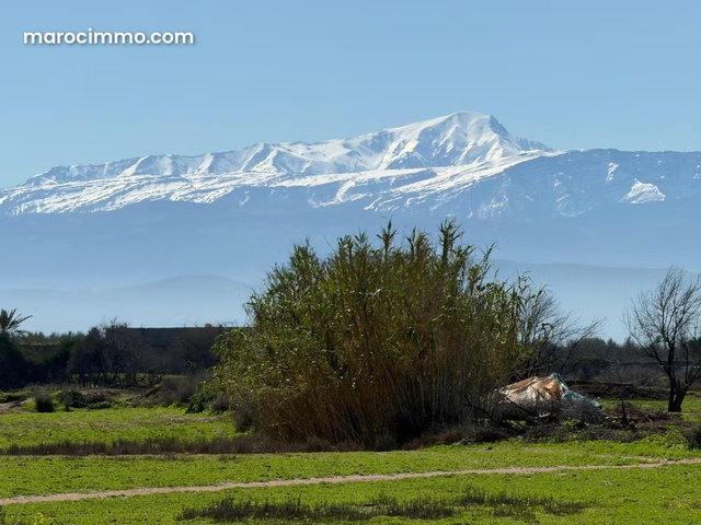Rare opportunity for a titled land with permission for multiple villas — 3