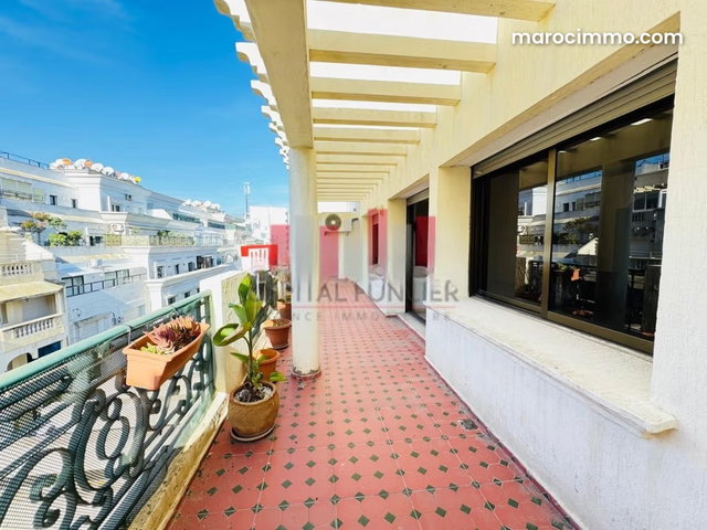 Duplex dernier etage terrasse — 3