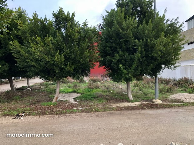 Terrain Zone Villa à Vendre – Achakar, Tanger — 4