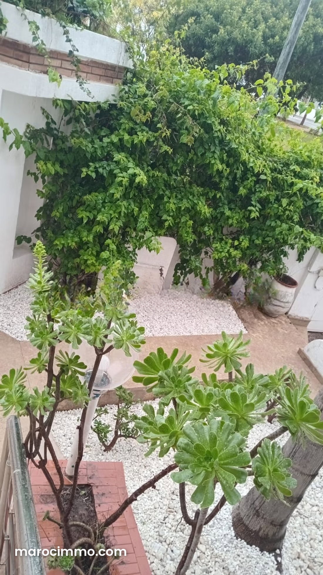 5-Bedroom Villa with Garden and Fireplace for Rent, Riyad, Rabat — Rabat