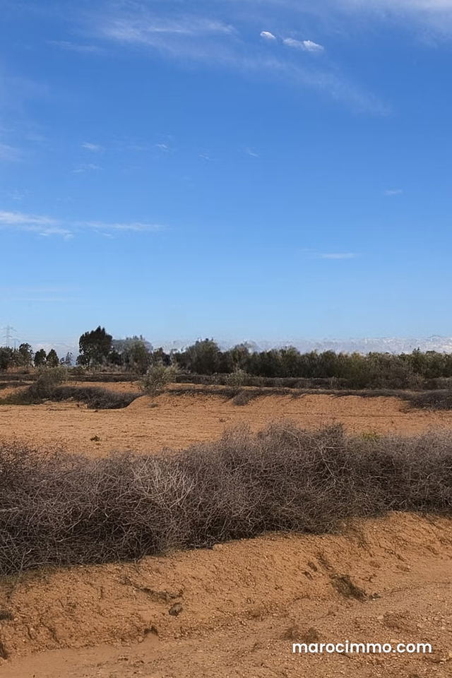 Terrain en vente à Route d'Agadir Essaouira. Superficie 20000 m² — مراكش