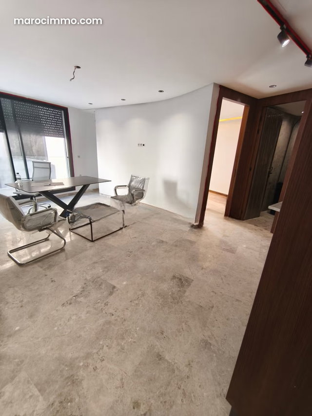 Studios neufs a palmier — 4