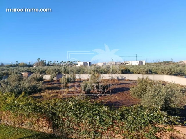 Lot de terrain à vendre – Route de l’Ourika Km 10 — 2