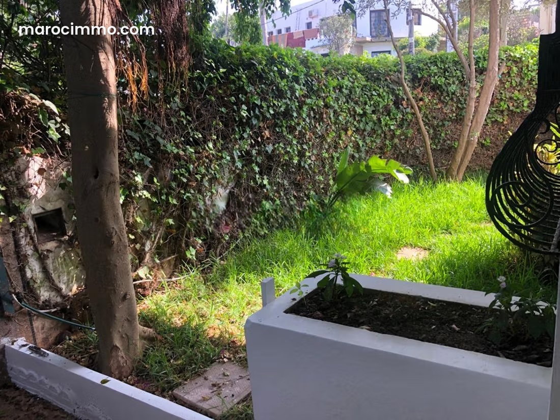 492 m² Plot in Palmier, Casablanca, B4s Buildable Zone — Casablanca