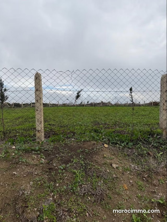 A wonderful plot of land with a sea view — 3