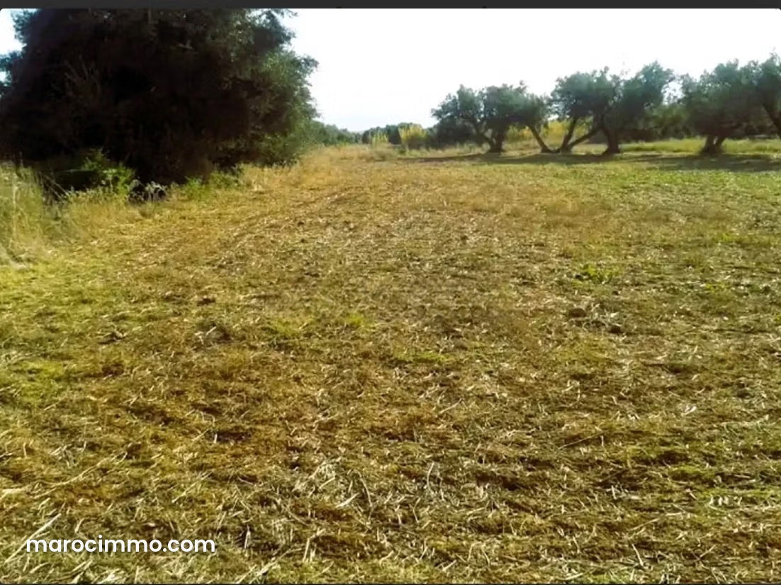 1,500 m² Building Plot on the Ourika Road, Marrakech — Marrakesh