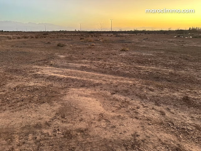 Terrain à vendre à Sidi Abdallah Ghiat. Surface totale 13700 m² — 4