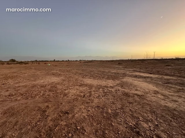 Terrain à vendre à Sidi Abdallah Ghiat. Surface totale 13700 m² — 3