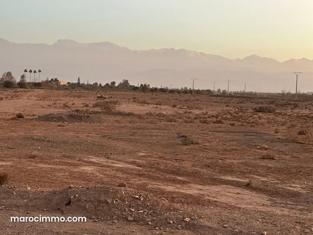 Terrain à vendre à Sidi Abdallah Ghiat. Surface totale 13700 m² — 5