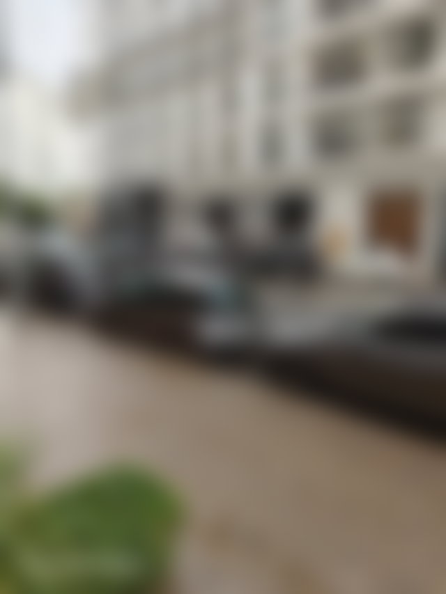 Appartement 132 m², 3 chambres avec suite parentale, Palmier — 3
