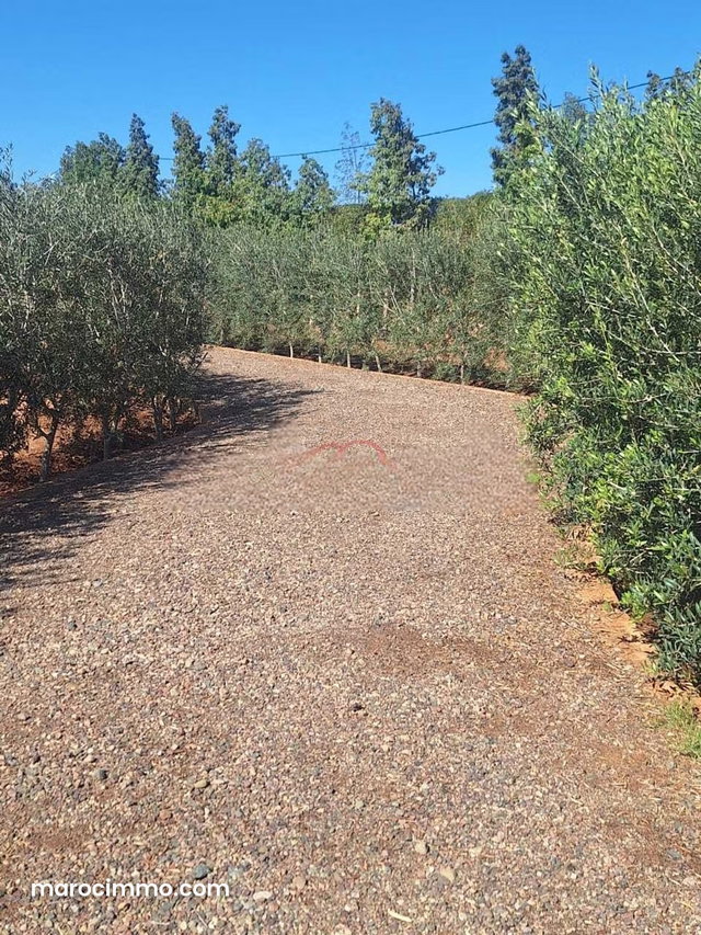 Vente Ferme à route de fès — 4