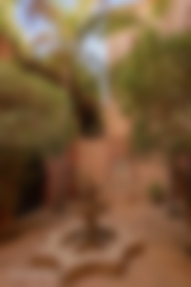 Prestigious Kasbah, 2,300 sqm garden, 10 suites, Jawhar Marrakech — 4