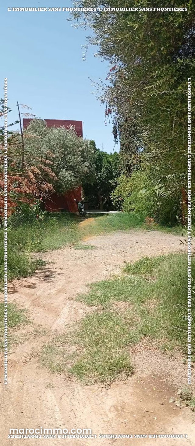 Ferme agricole Melkia à vendre à Route de Fès km 20,2 hectares 5 000 m², Marrakech — 2