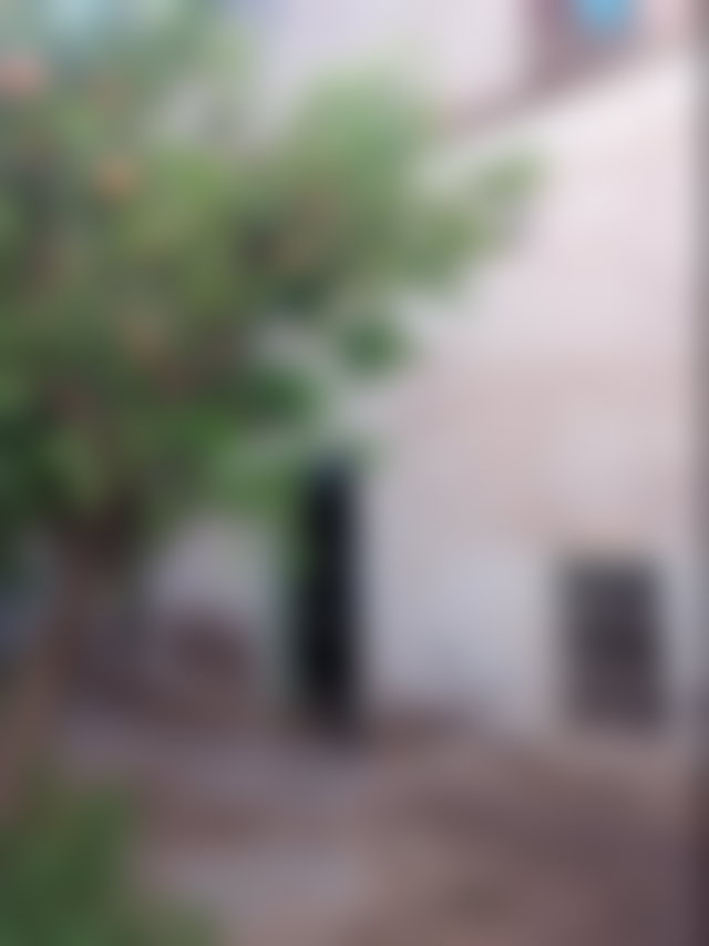 Riad to renovate with terrace and mountain views in Bab Ghmat, Marrakech — 2