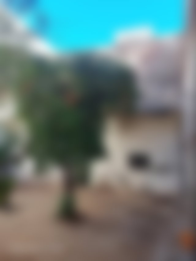 Riad to renovate with terrace and mountain views in Bab Ghmat, Marrakech — 3