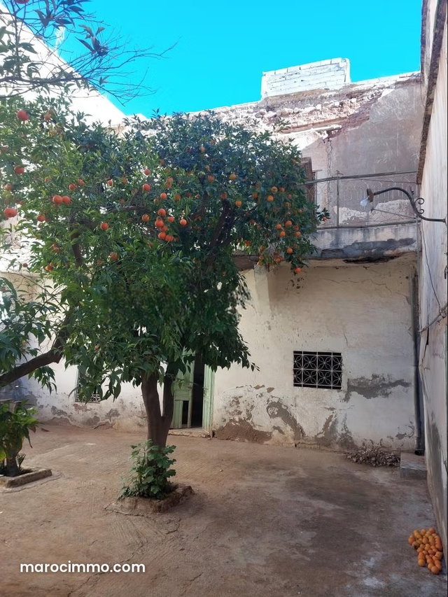 Riad titré à vendre vers bab aghmat — 3