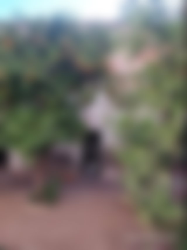 Riad to renovate with terrace and mountain views in Bab Ghmat, Marrakech — 4