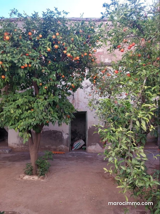 Riad titré à vendre vers bab aghmat — 4