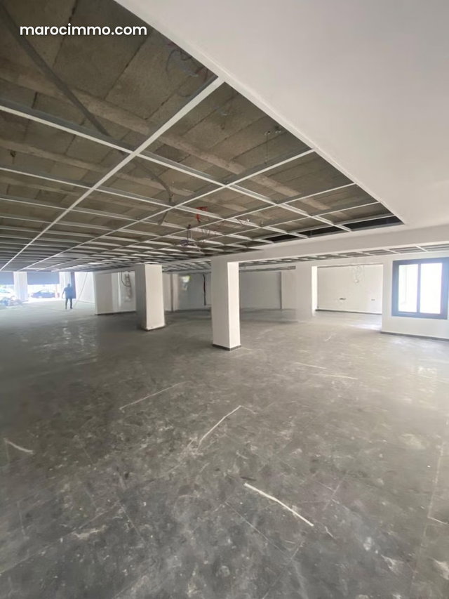 Rent the Ideal Office Space at Administrative. Total Area 590 m² — 4