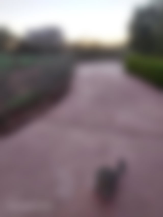 Villa 4 chambres avec hectare de terrain, Route de Fès, Marrakech — 2