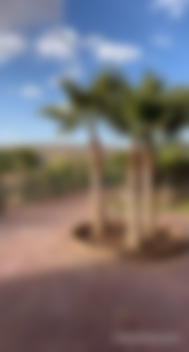 Villa 4 chambres avec hectare de terrain, Route de Fès, Marrakech — 5