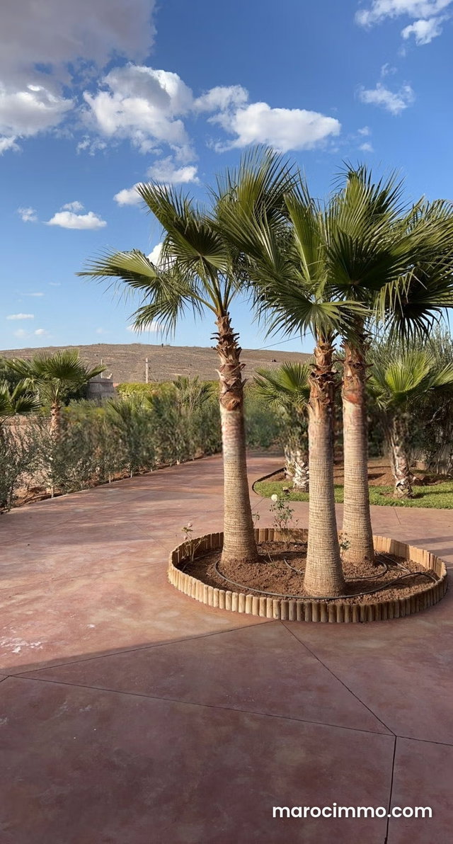 Très belle Villa sur un hectare titré avec très bon prix — 5