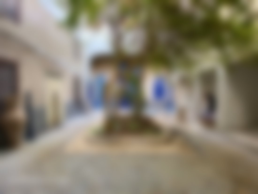 رياض مئوي وحديقة واحة في قلب طلعة فاس