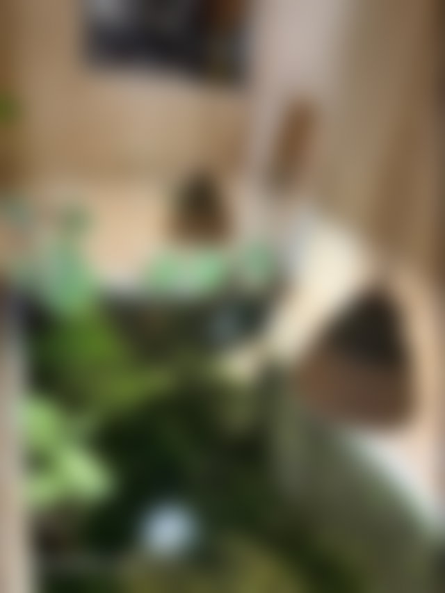 رياض ساحر بخمس غرف في قلب المدينة العتيقة بفاس — 4