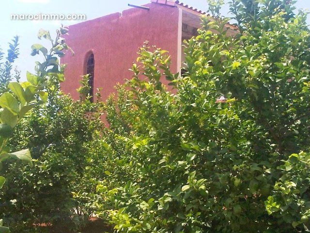 Ferme 4 Ha Benimellal villa construite — 4