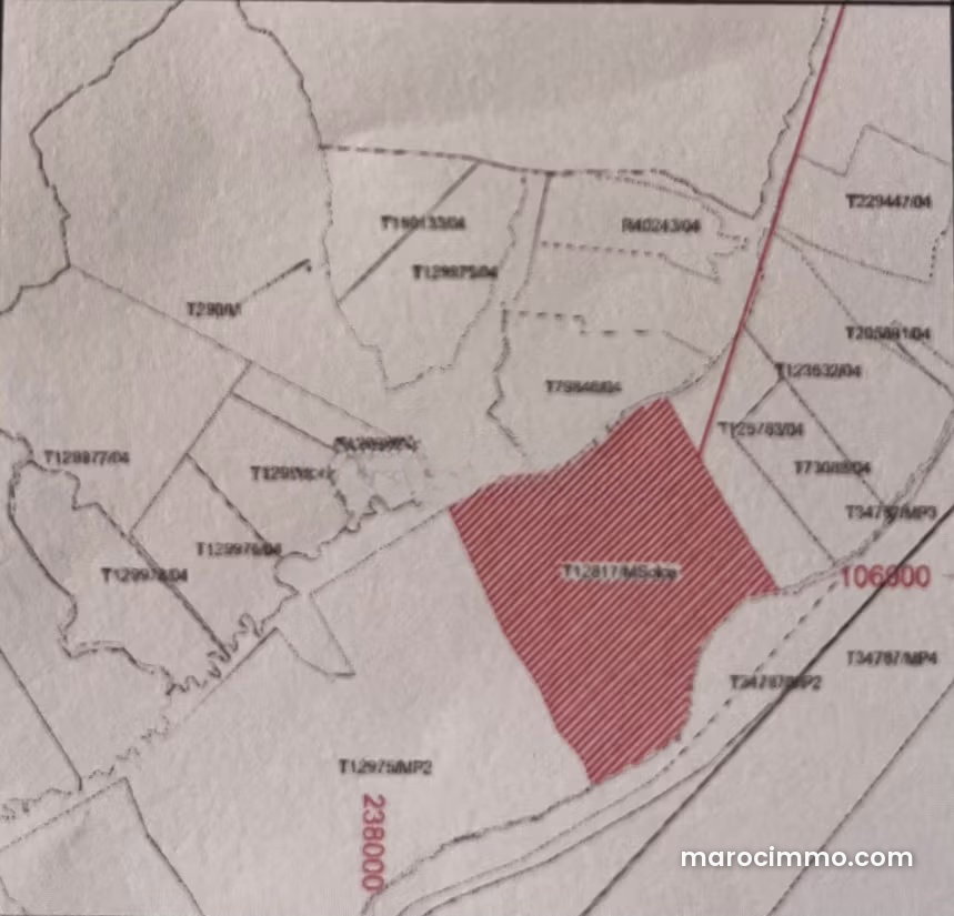 5-Hectare Plot of Land for Sale on the Amizmiz Road, Marrakech — Marrakesh
