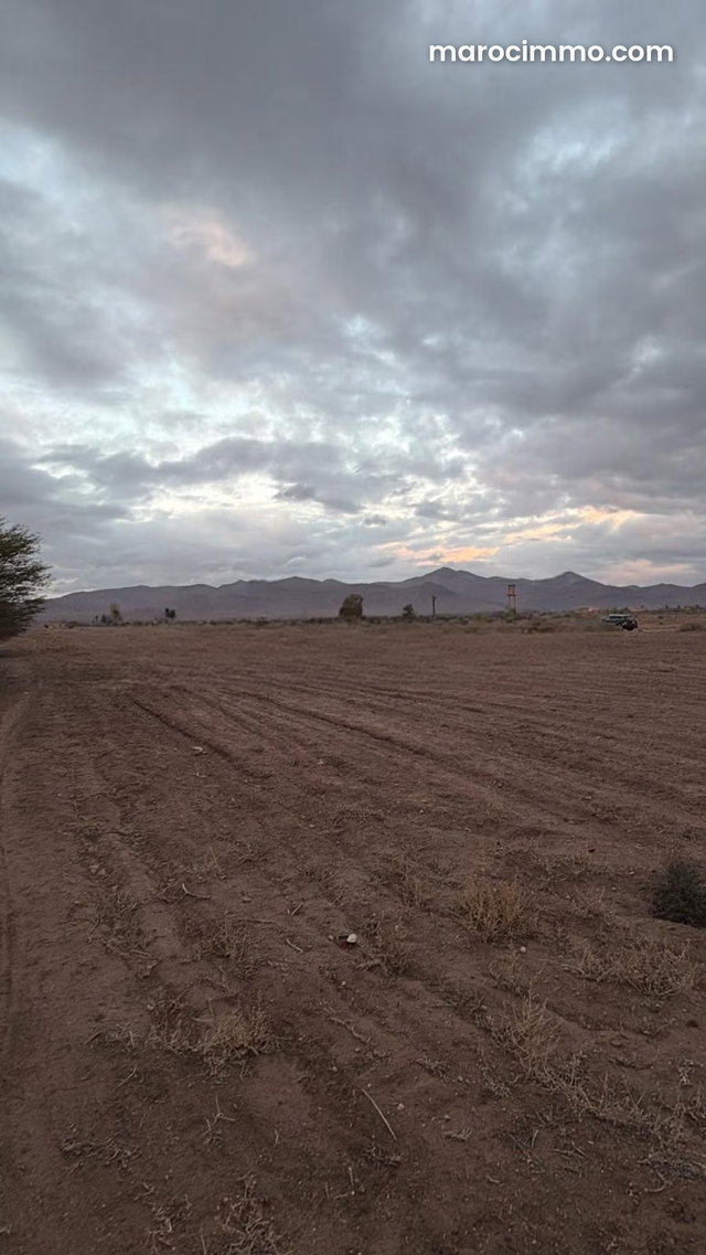 Breathtaking 2+ Hectare Plot of Land — 2