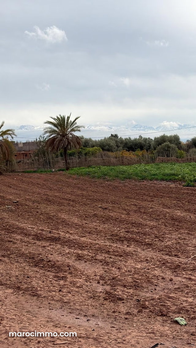Terrain bien situé, de 22 000 m2, fort potentiel — 2