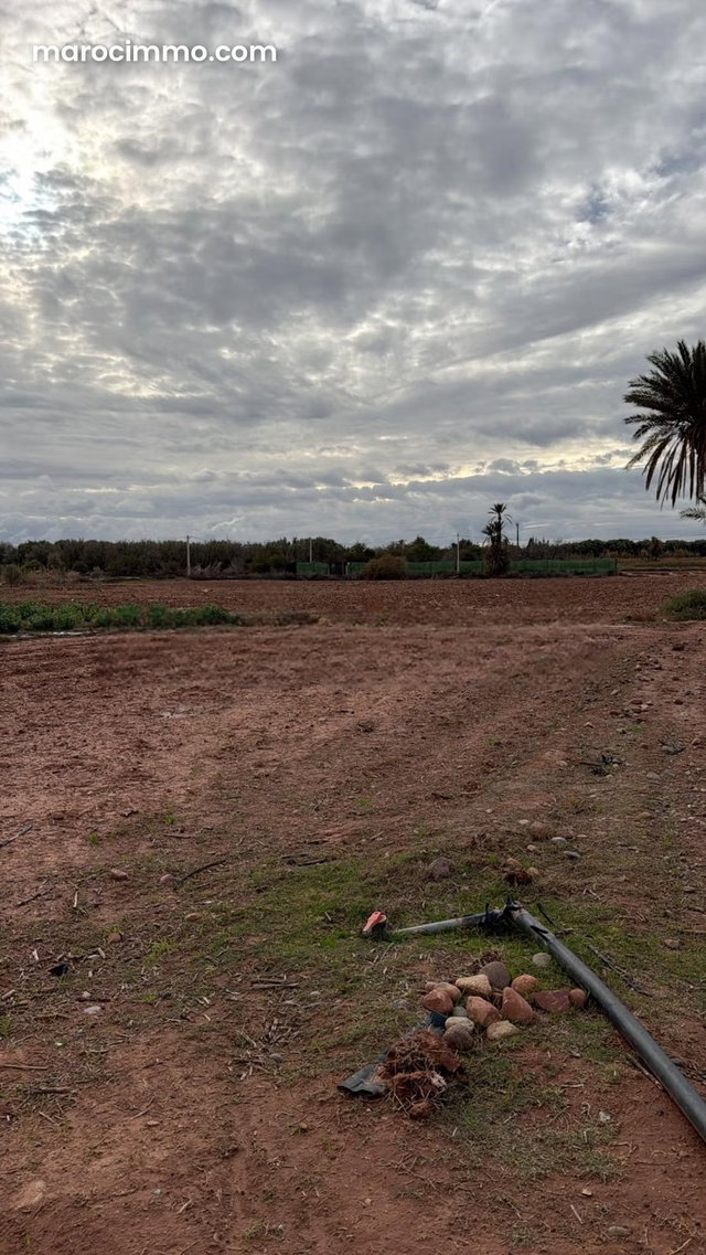 Terrain bien situé, de 22 000 m2, fort potentiel — 3